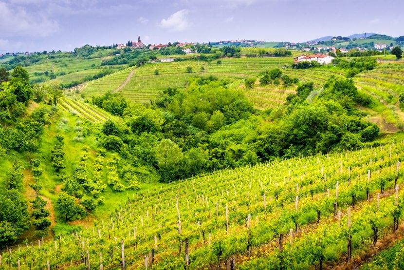 Valle Vipava