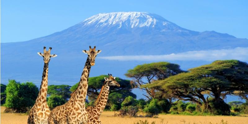 Kenia zwischen Meer und Savanne