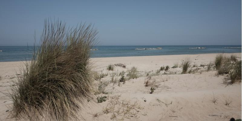 dune-molise