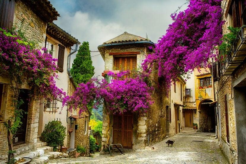 Provenza