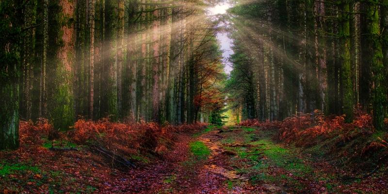aspromonte