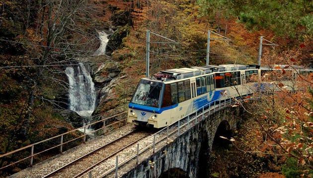 treno-foliage-foto