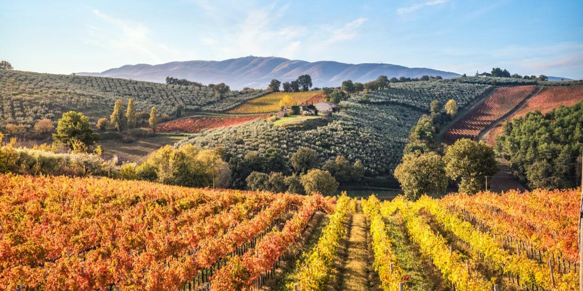 strada-sagrantino