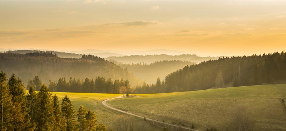 Schwarzwald Wohnmobil