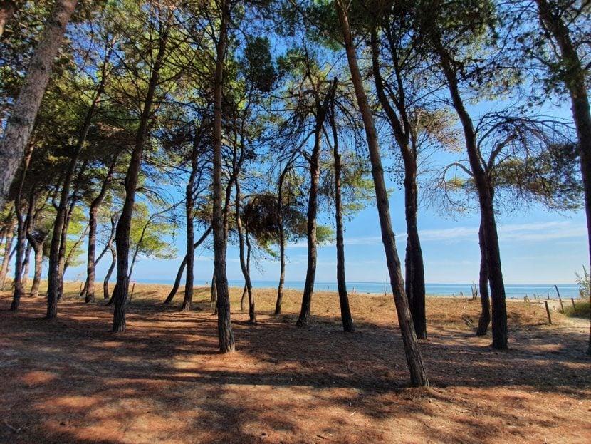 Strand von Pineto