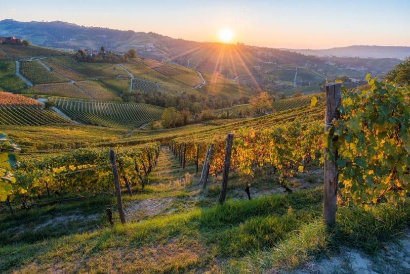Langhe e Roero