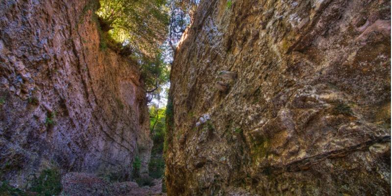 foresta-umbra-itinerari
